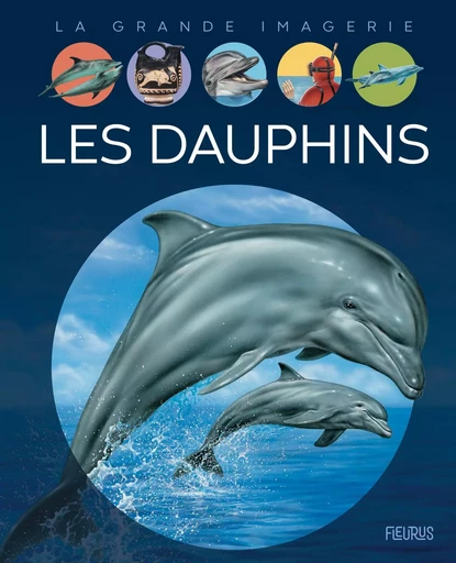 Les dauphins - Stéphanie Redoulès - FLEURUS DOCUMENTAIRES