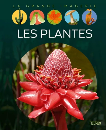 Les plantes - Sabine Boccador - FLEURUS DOCUMENTAIRES