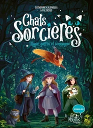 Chats & sorcières - Magies, gaffes et compagnie