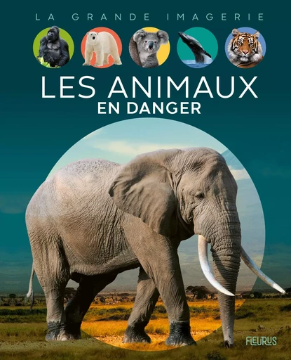 Les animaux en danger - Sabine Boccador - FLEURUS DOCUMENTAIRES