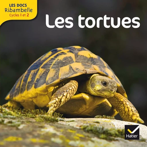 Les docs Ribambelle cycle 2 éd. 2013 - Les tortues - Valérie Videau - HATIER