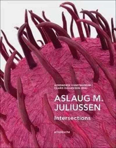 Aslaug M. Juliussen Intersections /anglais -  - ARNOLDSCHE