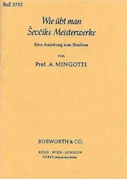 ANTON MINGOTTI: WIE UBT MAN SEVCIKS MEISTERWERKE LIVRE SUR LA MUSIQUE