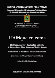 L'Afrique en coma