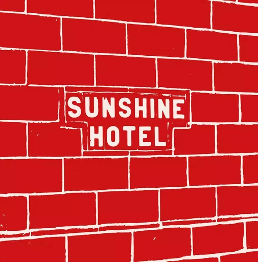 Mitch Epstein Sunshine Hotel /anglais -  EPSTEIN MITCH - STEIDL