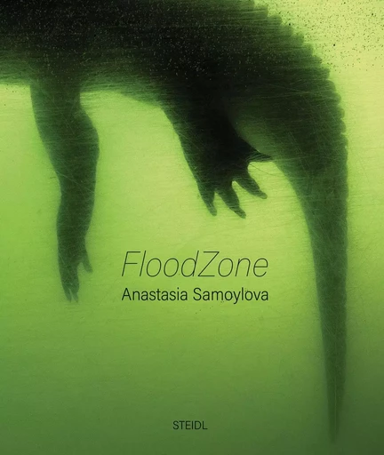 Anastasia Samoylova FloodZone /anglais -  SAMOYLOVA ANASTASIA - STEIDL