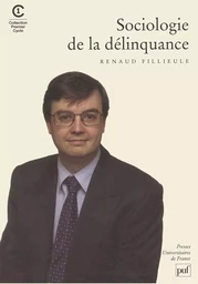 Sociologie de la délinquance