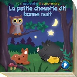 LE PETIT HIBOU DIT BONNE NUIT VOIR, APPRENDRE & COMPRENDRE