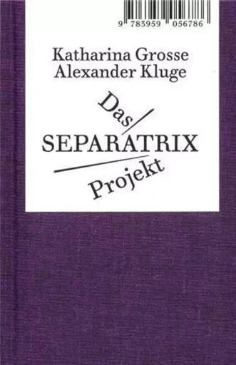 Alexander Kluge/Katharina Grosse Das SEPARATRIX Project /allemand -  KLUGE ALEXANDER/GROS - SPECTOR BOOKS