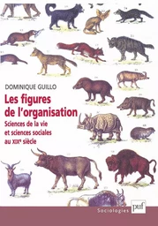 Les figures de l'organisation