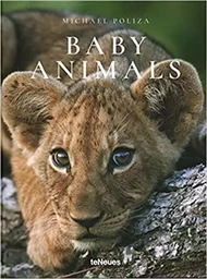 Michael Poliza Baby Animals /anglais