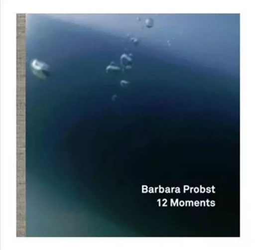 Barbara Probst 12 Moments /anglais -  PROBST BARBARA - HARTMANN BOOKS