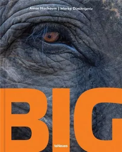 Big A Photographic Album of the World's Largest Animals /anglais/allemand -  NACHOUM AMOS/DIMITRI - TENEUES VERLAG