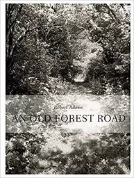 Robert Adams An Old Forest Road /anglais