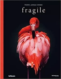 Fragile /anglais