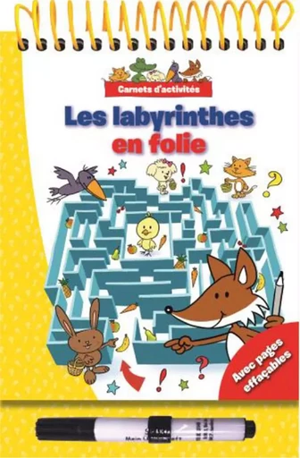 LES LABYRINTHES EN FOLIE A PARTIR DE 4 ANS -  - BOOK N APP