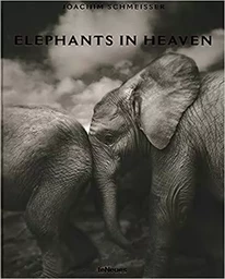 Elephants in heaven