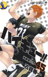 HAIKYU 45 (MANGA VO JAPONAIS)