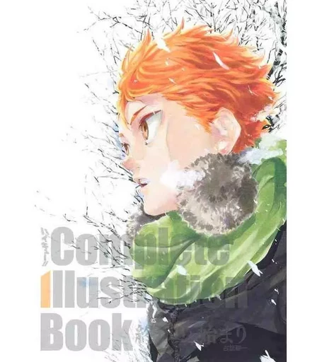 HAIKYU !! COMPLETE ILLUSTRATION BOOK (ARTBOOK VO JAPONAIS) - Haruichi Furudate - SHUEISHA