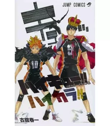 HAIKYU!! COLOR ILLUSTRATIONS (ARTBOOK VO JAPONAIS)