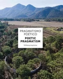 Dellekamp Arquitectos: Poetic Pragmatism /anglais