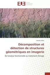 Décomposition et détection de structures géométriques en imagerie