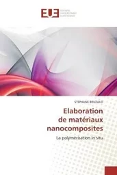 Elaboration de matériaux nanocomposites