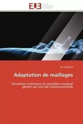 Adaptation de maillages