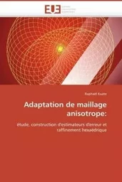 Adaptation de maillage anisotrope: