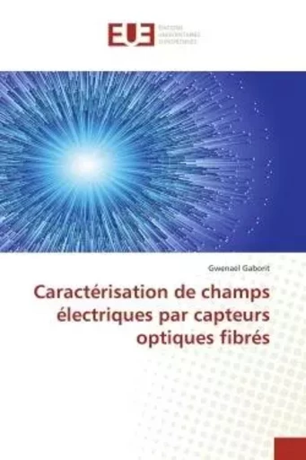 Caractérisation de champs électriques par capteurs optiques fibrés - Gwenael GABORIT - UNIV EUROPEENNE