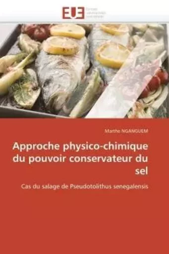 Approche physico-chimique du pouvoir conservateur du sel -  NGANGUEM-M - UNIV EUROPEENNE