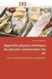 Approche physico-chimique du pouvoir conservateur du sel