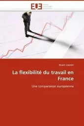 La flexibilité du travail en france