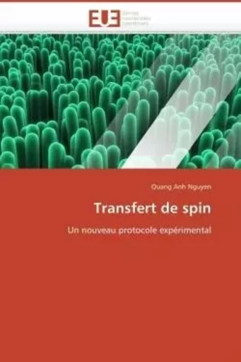 Transfert de spin - Quang Anh NGUYEN - UNIV EUROPEENNE