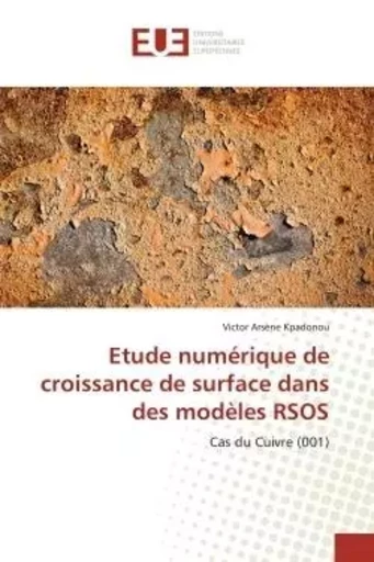 Etude numérique de croissance de surface dans des modèles RSOS - Victor Arsène Kpadonou - UNIV EUROPEENNE