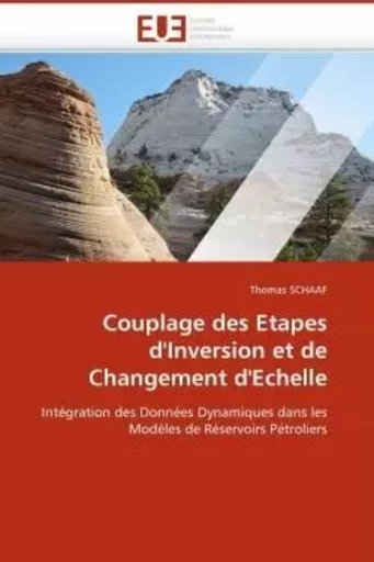 Couplage des etapes d''inversion et de changement d''echelle -  SCHAAF-T - UNIV EUROPEENNE