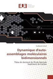 Dynamique d'auto-assemblages moléculaires bidimensionnels