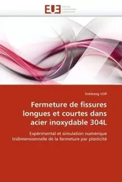 Fermeture de fissures longues et courtes dans acier inoxydable 304l