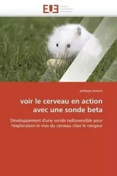 Voir le cerveau en action avec une sonde beta