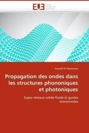 Propagation des ondes dans les structures phononiques et photoniques -  EL HASSOUANI-Y - UNIV EUROPEENNE