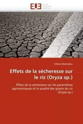 Effets de la sécheresse sur le riz (oryza sp.)