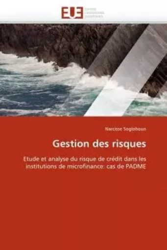 Gestion des risques - Narcisse SOGLOHOUN - UNIV EUROPEENNE