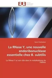 La RNase Y, une nouvelle endoribonucléase essentielle chez B. subtilis