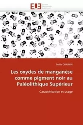 Les oxydes de manganèse comme pigment noir au paléolithique supérieur