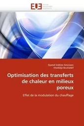 Optimisation des transferts de chaleur en milieux poreux