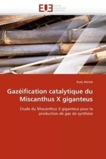 Gazéification catalytique du miscanthus x giganteus -  MICHEL-R - UNIV EUROPEENNE