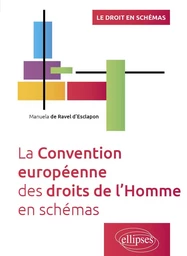 La Convention européenne des droits de l'Homme en schémas