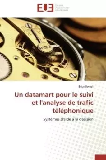 Un datamart pour le suivi et l'analyse de trafic téléphonique -  BONGLI-B - UNIV EUROPEENNE