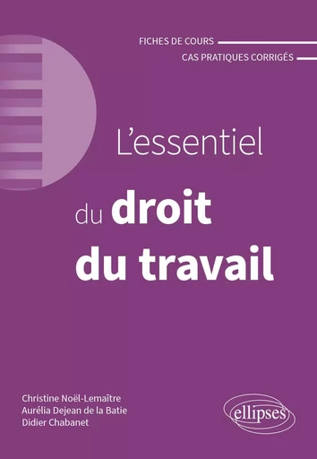 L'essentiel du droit du travail - Didier Chabanet, Aurélia Dejean de la Batie, Christine Noël-Lemaître - EDITION MARKETING