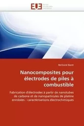 Nanocomposites pour électrodes de piles à combustible